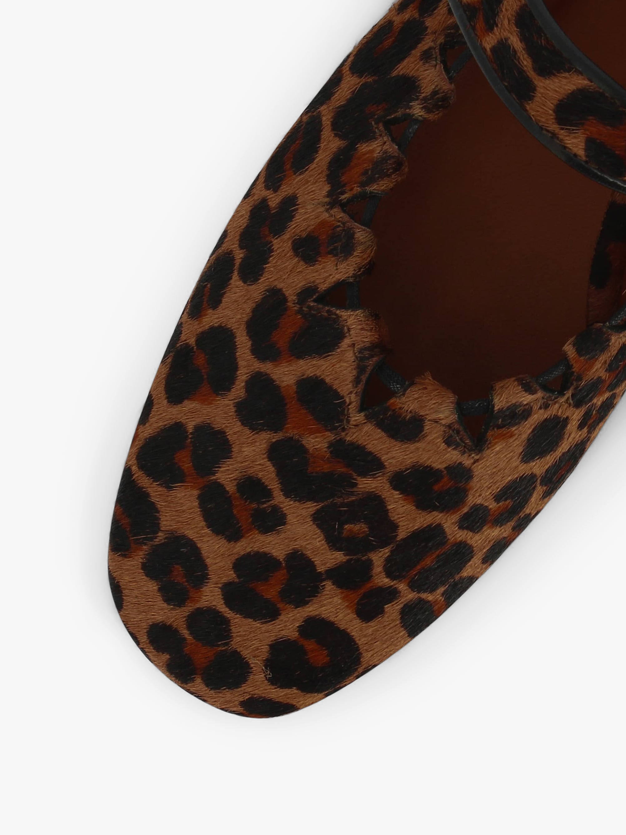 Socque-ballerine-plate-Ginger-leopard-pointe