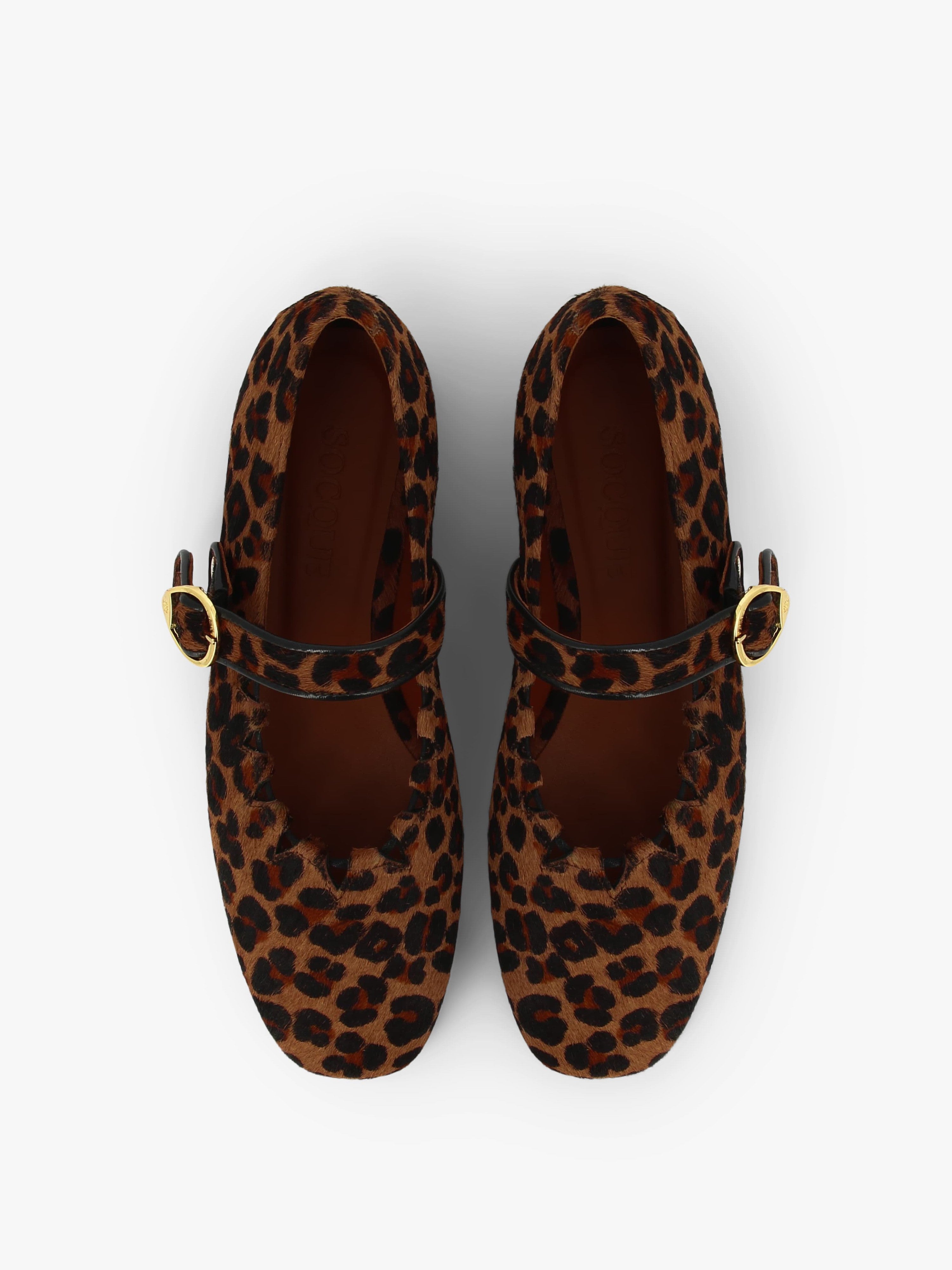 Socque_Ginger_leopard_top